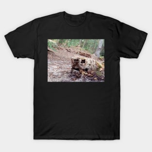 Grandmother of trees T-Shirt